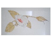 ��x���u��Ƭ 6303# 300��600mm 