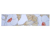 ��x��Ƭ ����6303# 60mm��300mm 