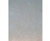 ��x����u ����u�\��ɫ�y��D��SAW11913 300mm��600mm 