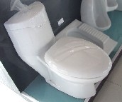 �����B�w�RͰ���� �������ʽ1152-1 δ֪ 