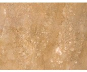 ʥ������u ����uůɫ�y��D�� 300mm��600mm 