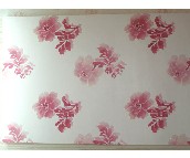 �n������  1.06��15M 