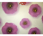 �n������  1.06��15M 