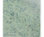 ̫ˇ����PVC���ϵذ� DLT9106-01 2��20M��2.2mm 