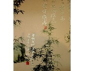 ���l���� PVC C99602 0.53��10.05M 