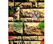 ���l���� PVC C99801 0.53��10.05M 