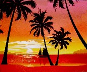 Sun Feel I ���� ӆ�� PP���ڮ�S8007-1  �L�� �tɫ  