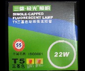 ���ۡ��O��ɹ����Դ �h�� 22W 