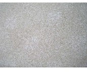 ���l���� PVC04122 ��530mm���L10�� 