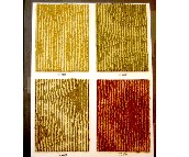 ���l�k���ÝM䁵�̺ TQTA01 4M 