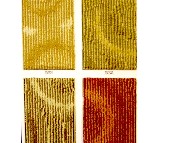 ���l�k���ÝM䁵�̺ TQTC03 4M 