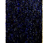 ���l�k���ÝM䁵�̺ A-4 4M 