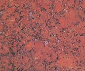 ���������r ӡ�ȼt �L800mm����600mm 