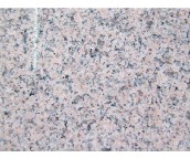 ���_�����r ���ϴ��ɯ�˼t ��30mm 