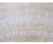 ���_����ʯ ���ϴ�������S ��20mm 