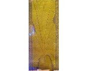 �V����ˇ���� ����57 12�� 