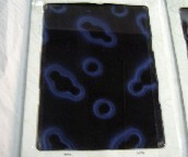 ���ƹ�ˇ���� ���L������ʯ�{�w�� 5�� 