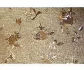 ���߉��� JB19 0.53��10.05M 