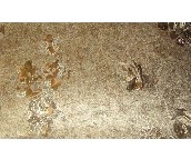 ���߉��� JB17 0.53��10.05M 