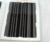 ���ƹ�ˇ���� ���L������ɫ��䓗l�a 5�� 