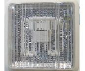 �W����픟� �N�l��_��MX250F-Y21 ���� 