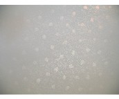 ��������Ħ��ˇ�gͿ�Ϲ�ˇ �������c��-2 