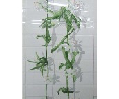 ��ɰ�ʉ��u��Ƭ TJ45018 450��300mm 