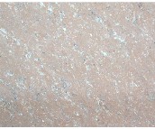 ʢ��شu ����u6909L 600mm��600mm 