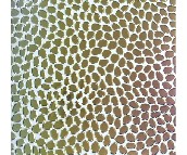 ̩ٛ�شu �����uDJ7-0036D 300mm��300mm 