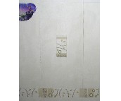 ��퍉��u��Ƭ G66701A1 300��600mm 