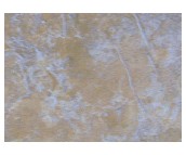 ������ɯ����u ����uůɫ�y��D�����ʯ DJF0033M 300mm��450mm 