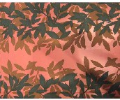 Bourgeois���� 137302 0.53��10.05M 