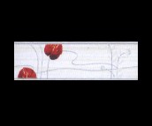 ���ӌ���Ƭ �;�ˮ��Y45023 70mm��300mm 