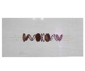 ��x���u��Ƭ 11217-001 300��600mm 