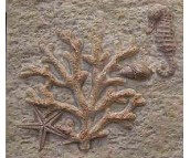 �W�����u��Ƭ AYH013H 100��100mm 