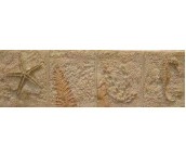 �W����Ƭ �ŵ�y�AYH013Y 70mm��200mm 