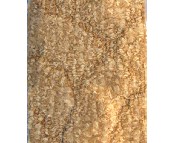 �¿���ͥ�M䁵�̺ WF105 4M 