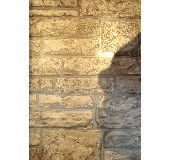 ����DELIGHT���� L8302-01 0.92��10M 