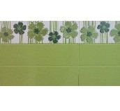 ����˹��Ƭ ����E8011W 100mm��300mm 