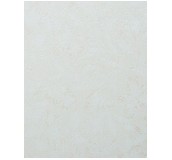 ��ʢ�شu �����u3E21 300mm��300mm 