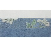 ��ʢ��Ƭ ����909BC1 70mm��300mm 