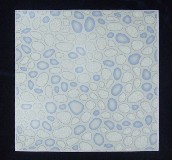 �A�{�شu �����uS08A 300mm��300mm 