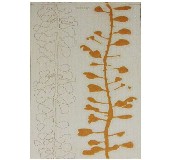 �W���Z���u��Ƭ YF521H1 300��450mm 