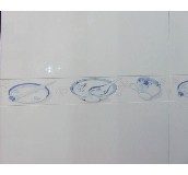 �ٺ���Ƭ �;�ˮ��By1-43058y21 70mm��300mm 