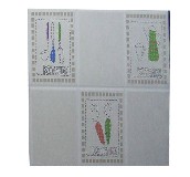 ���艦�u��Ƭ 2-MP45631PH3 300��450mm 