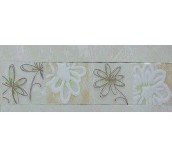 ������Ƭ ����1-TP6101PY2 70mm��300mm 