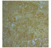 �|�i�شu ����uYG803017_A 800mm��800mm 