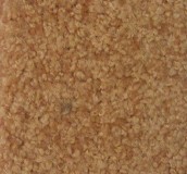 ���ż�ͥ�M䁵�̺ 11-06 4��20M 