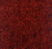 ���ż�ͥ�M䁵�̺ 11-07 4��20M 