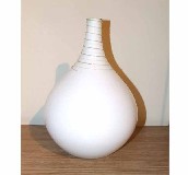 ؈����ƿ�����P MD528 �������| 